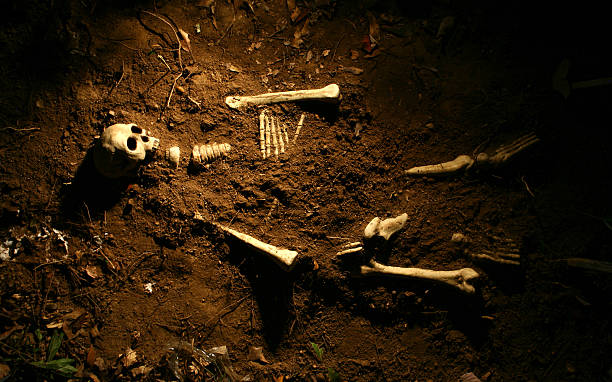Alagoinhas: Ossada humana é encontrada no Povoado das Capoeiras