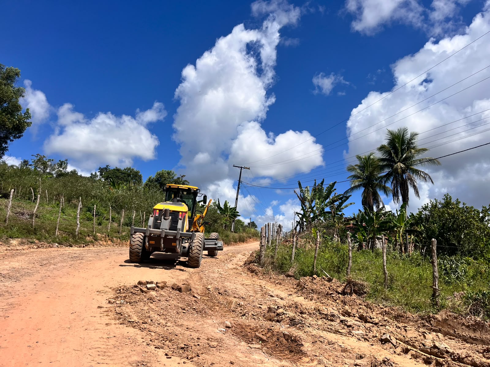 Seman intensifica serviços de limpeza, roçagem e manutenção em Alagoinhas